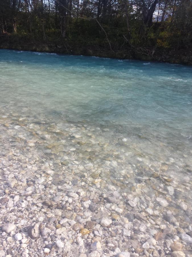 Catalina Lesce-Bled Lesce (Upper Carniola) Exterior foto